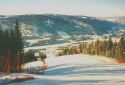 Riesenslalom